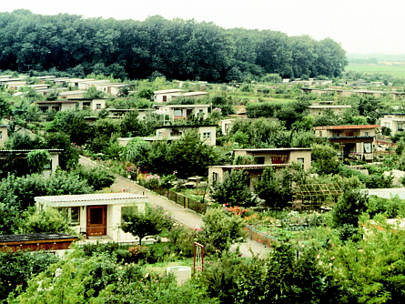 An East German allotment garden (Thanks for photo to Creative Blog, http://www.thom-blog.de/Wordpress/archives/3945)