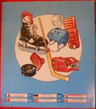 Back cover of Panini Hockey 79 album.