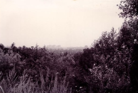 View of Marzahn from atop the Kienberg (photo: author).